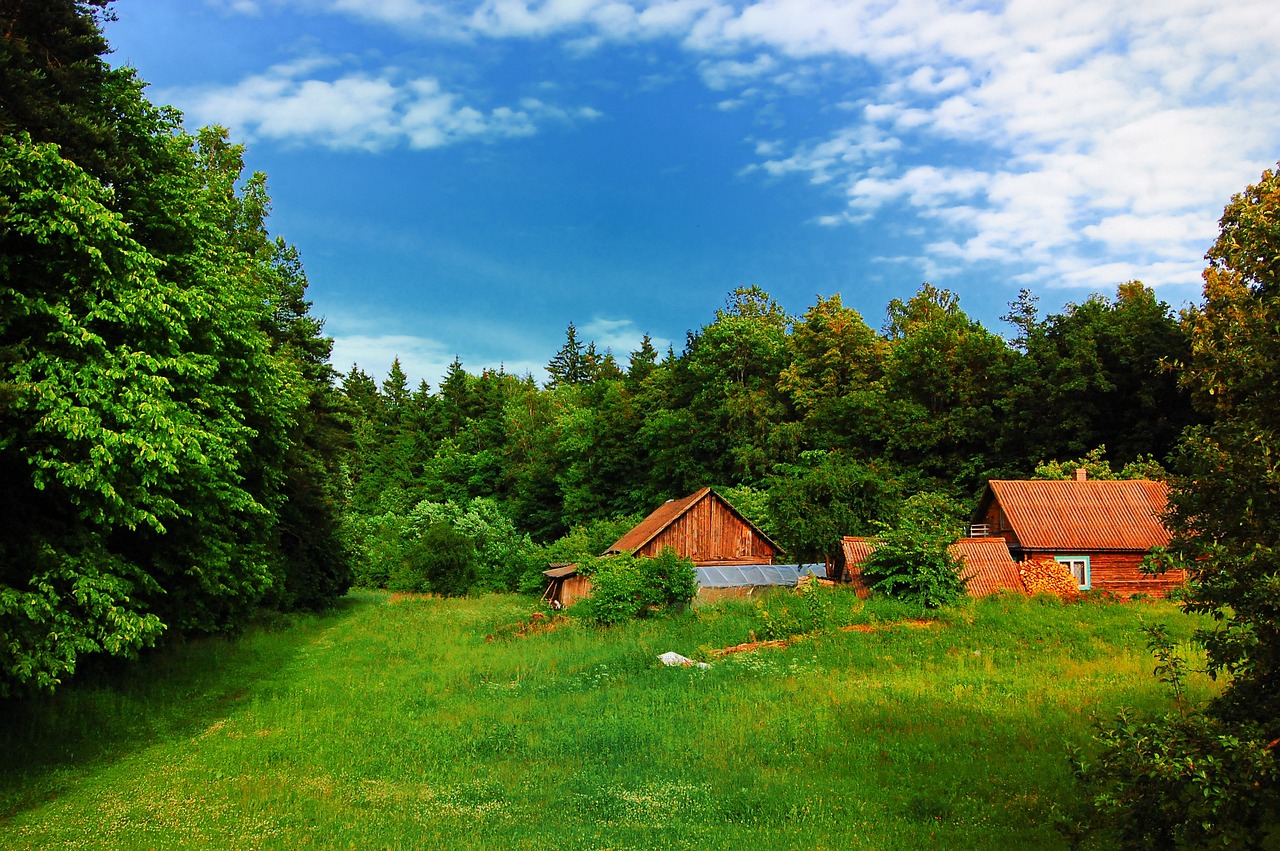 Cultural and Culinary Journey Through Lithuania