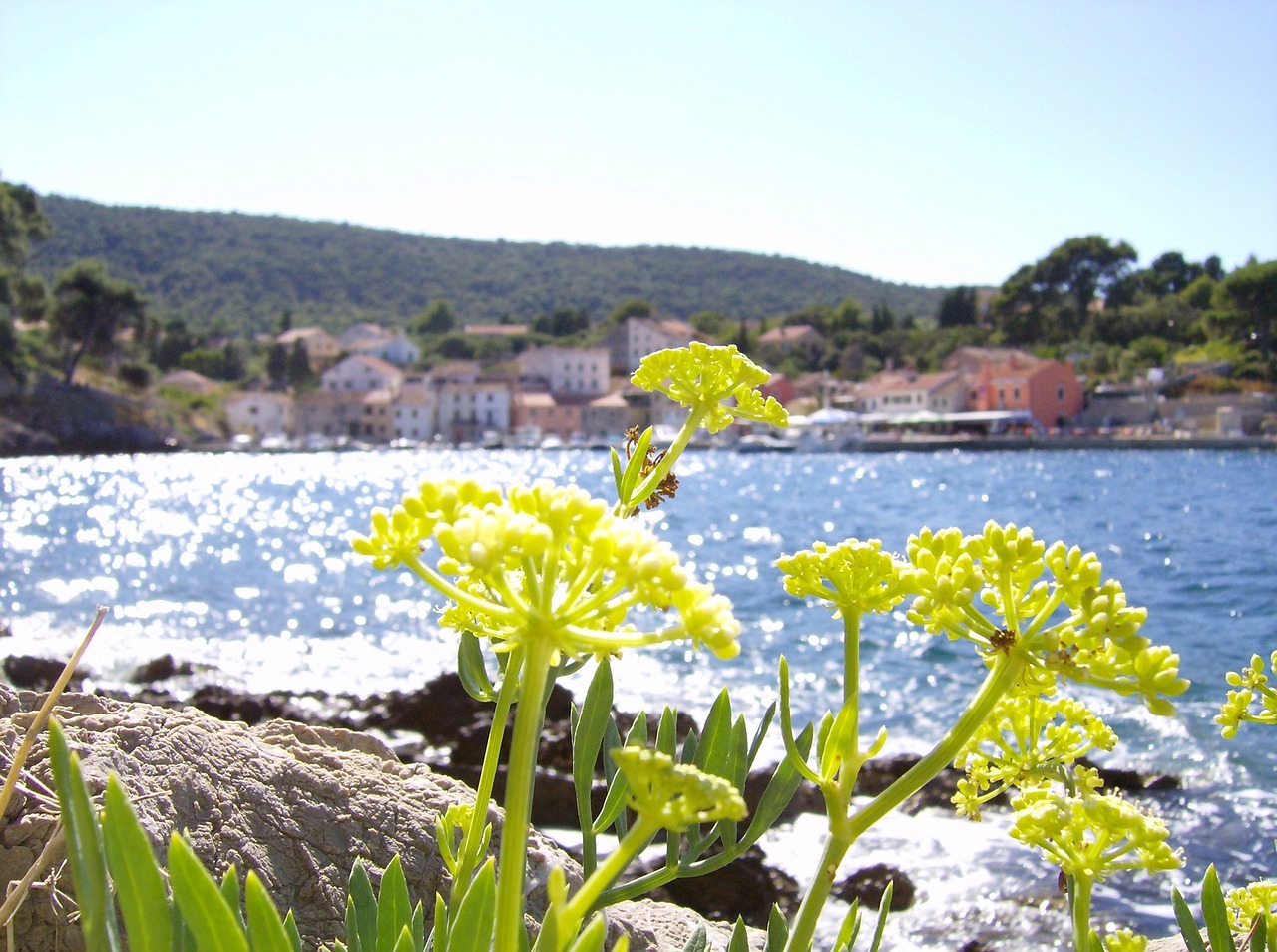 Viaggio di 5 giorni a Lussino, Croazia