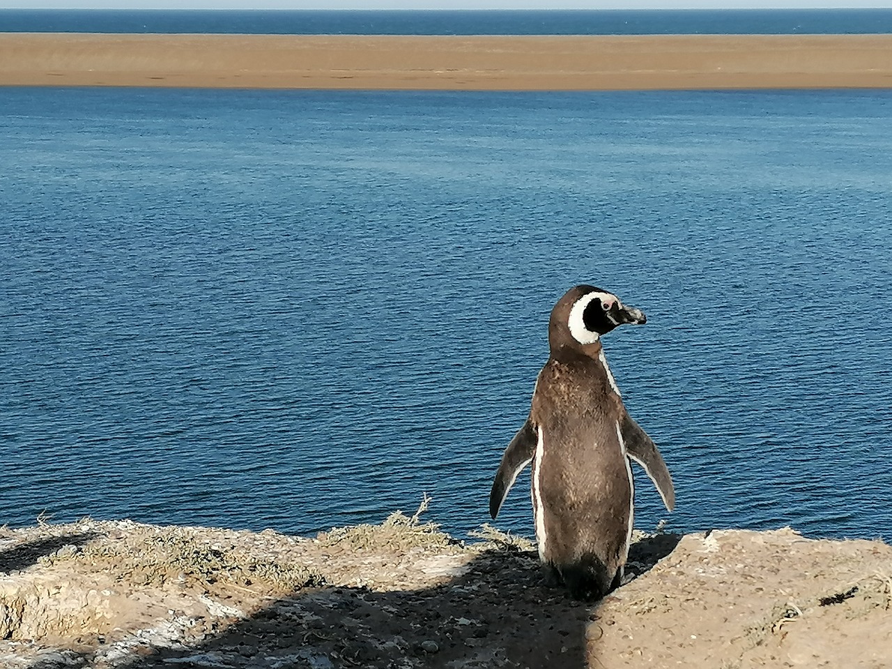 Aventure à la Péninsule Valdés, Argentine