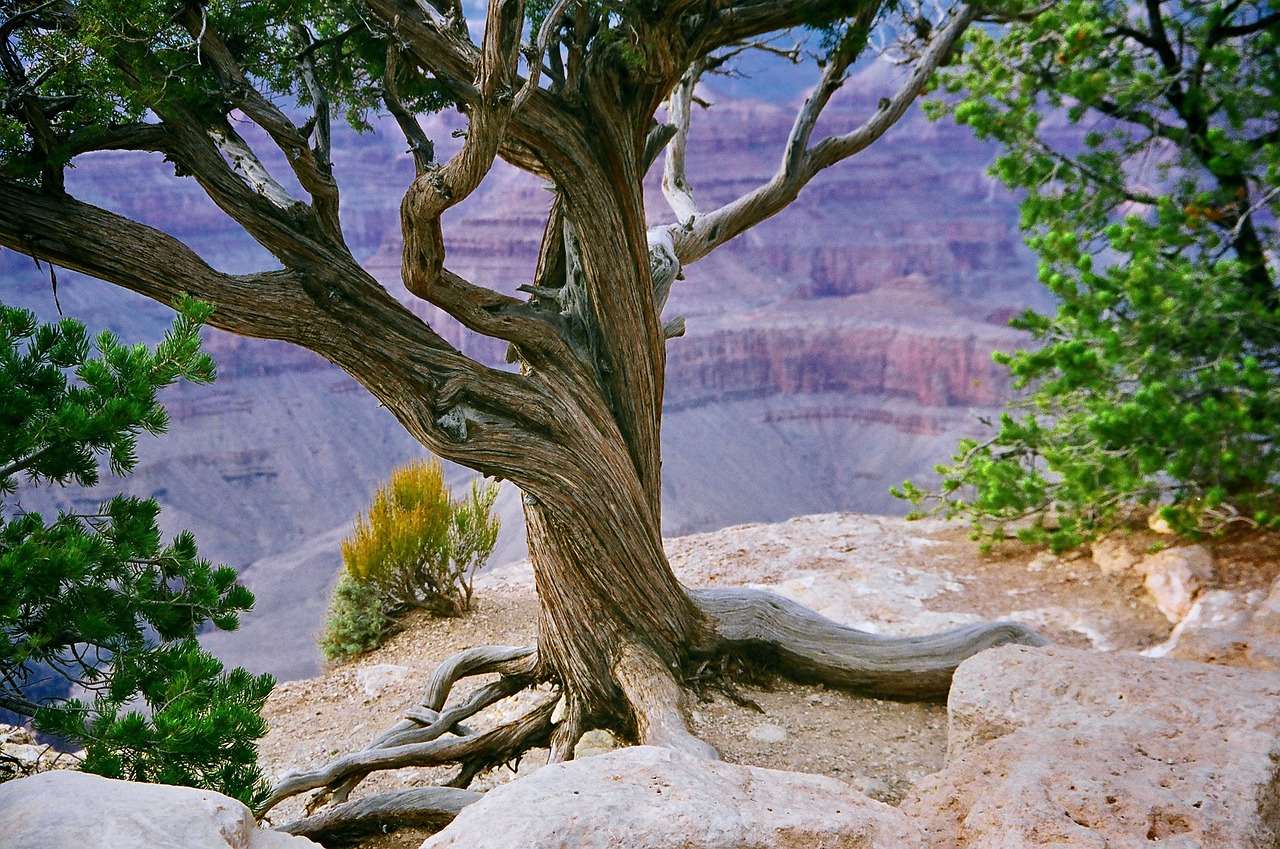 3-Day Grand Canyon Easy Hikes and Scenic Views