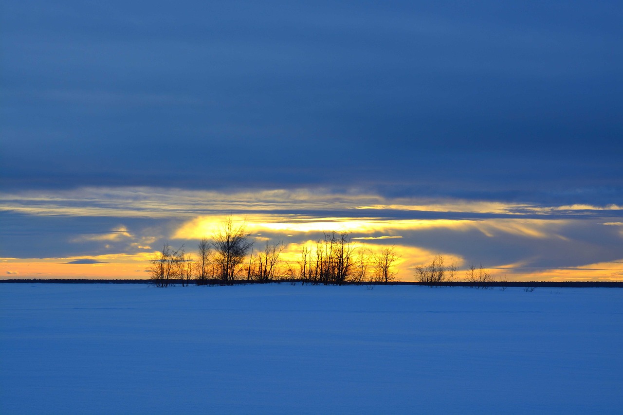 Arctic Adventure in Luleå, Sweden