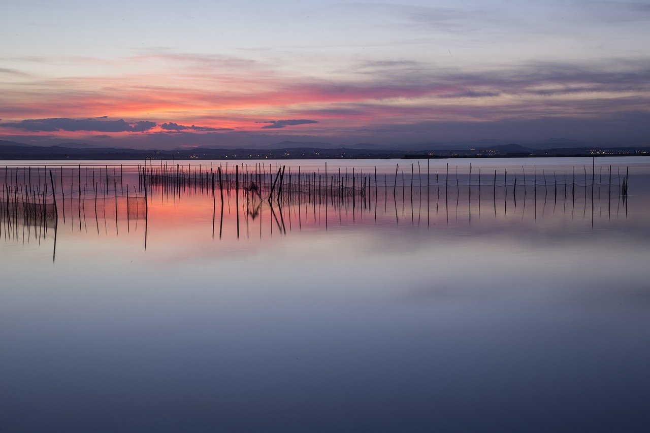 5-day Trip to Albufera, Spain