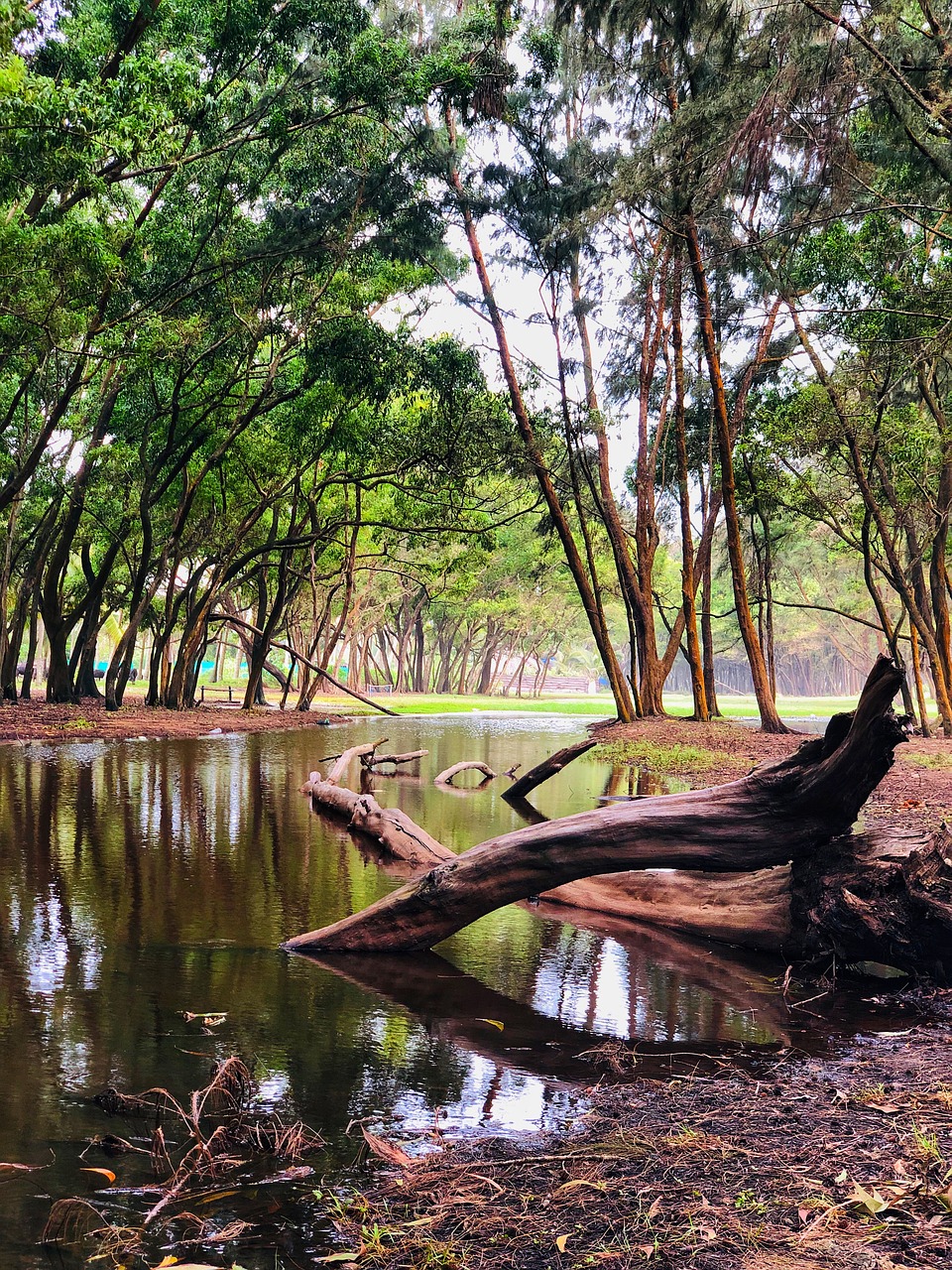 Cultural and Culinary Journey Through Malappuram