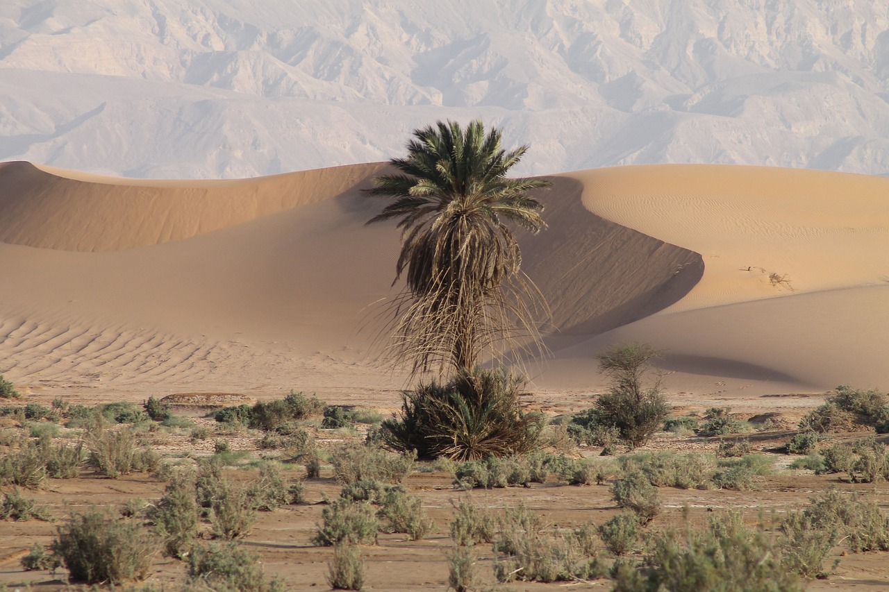 Voyage de 5 jours à Aqaba, Jordanie