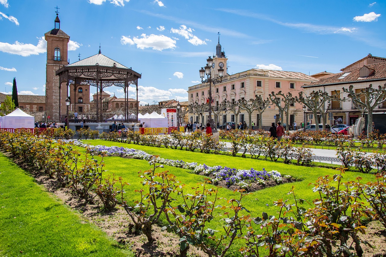 Cultural and Culinary Journey in Alcalá de Henares, Spain