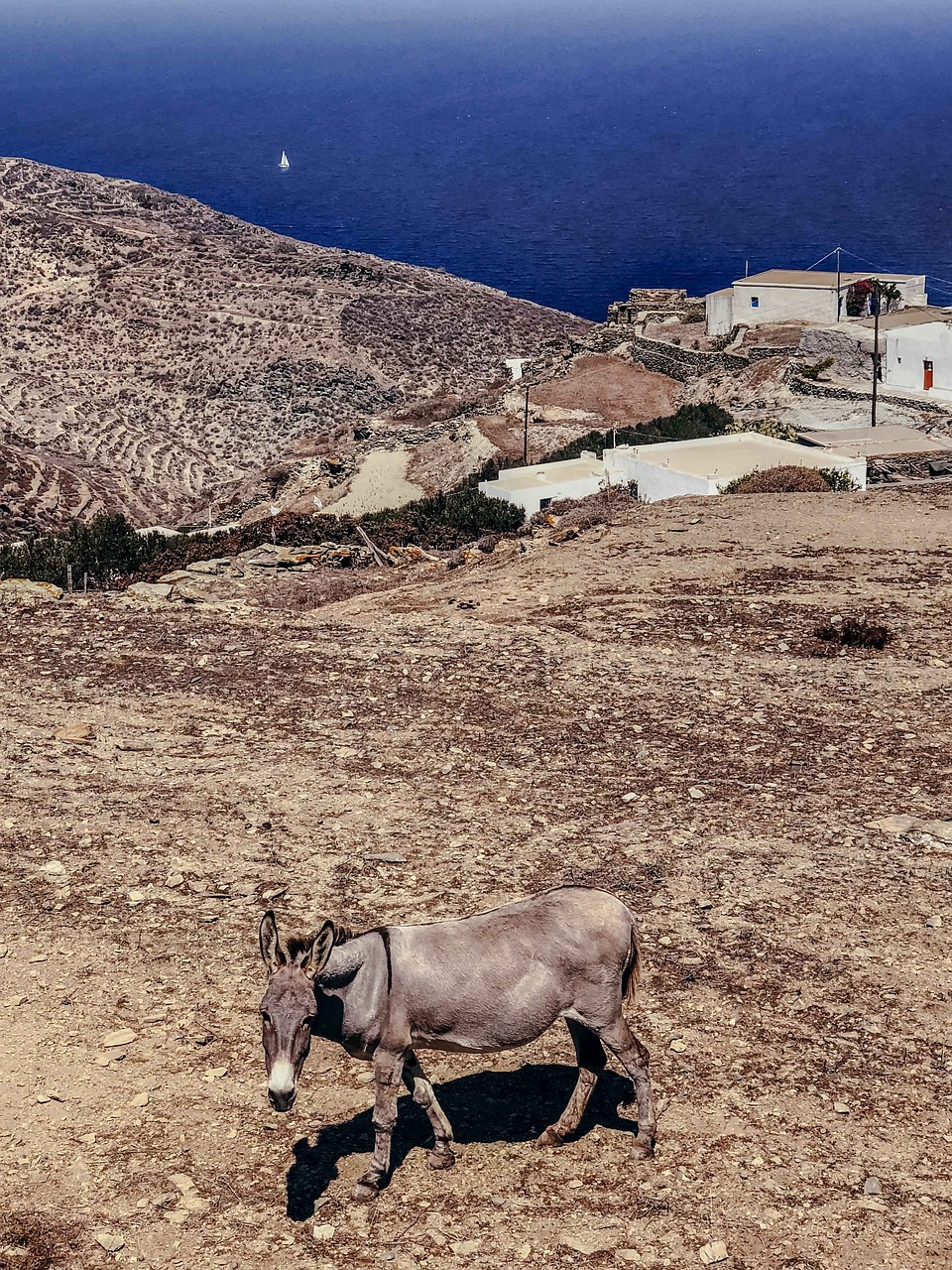 5 Days of Exploration in Folegandros