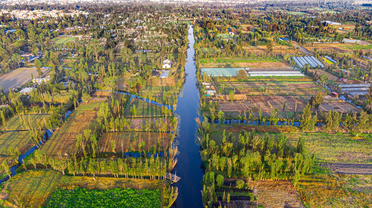 Viaje de 5 días a Xochimilco, Ciudad de México