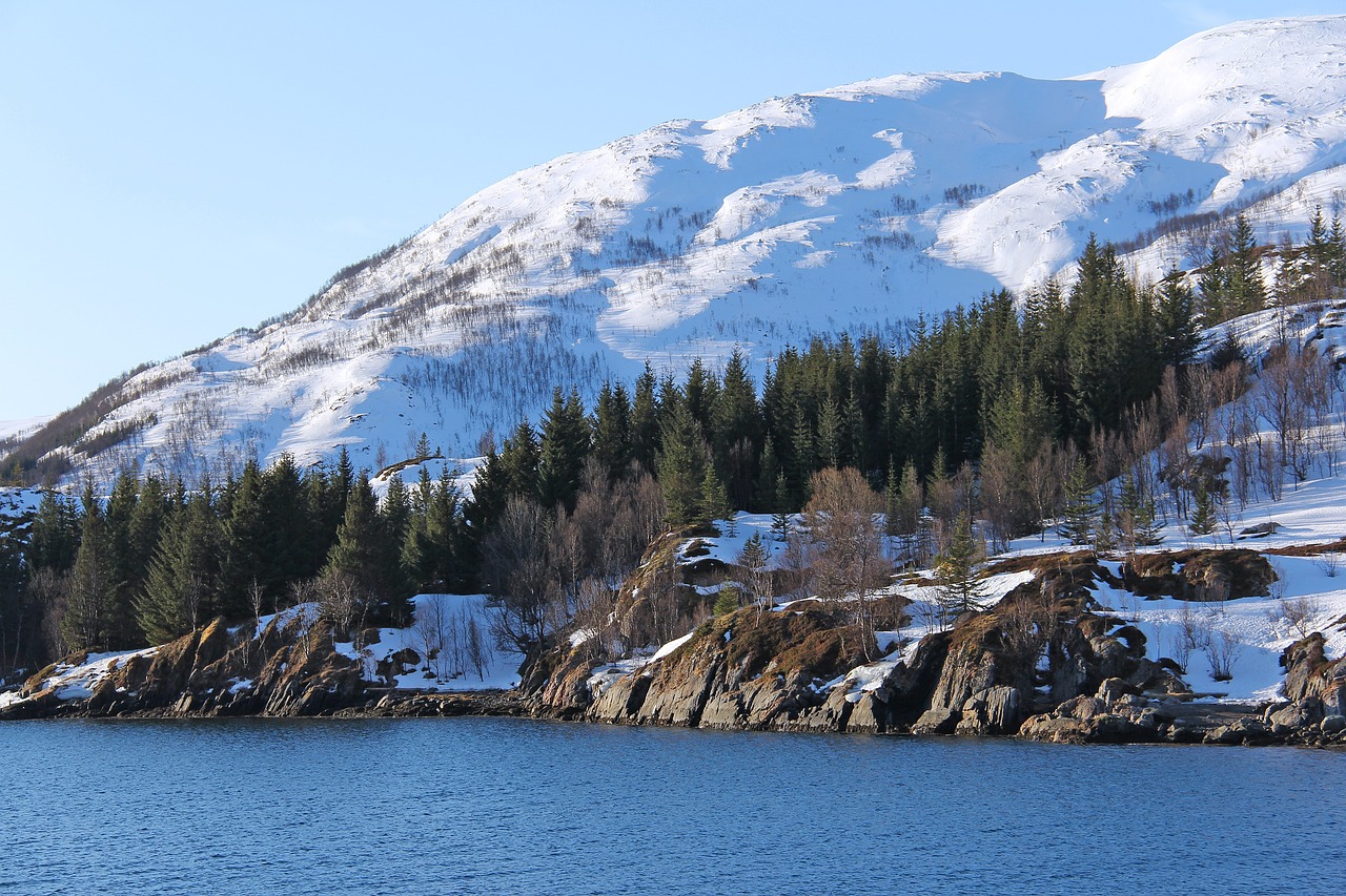 Arctic Adventure in Kvaløya, Norway
