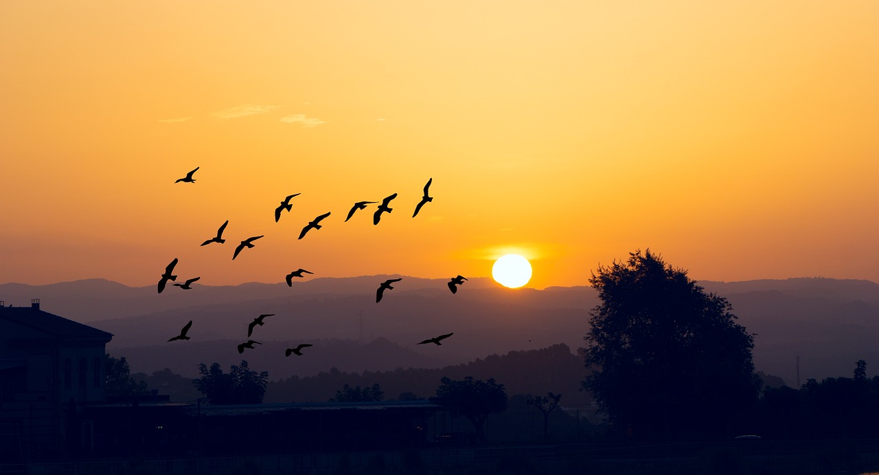 Viaggio di 8 giorni ad Alba Adriatica