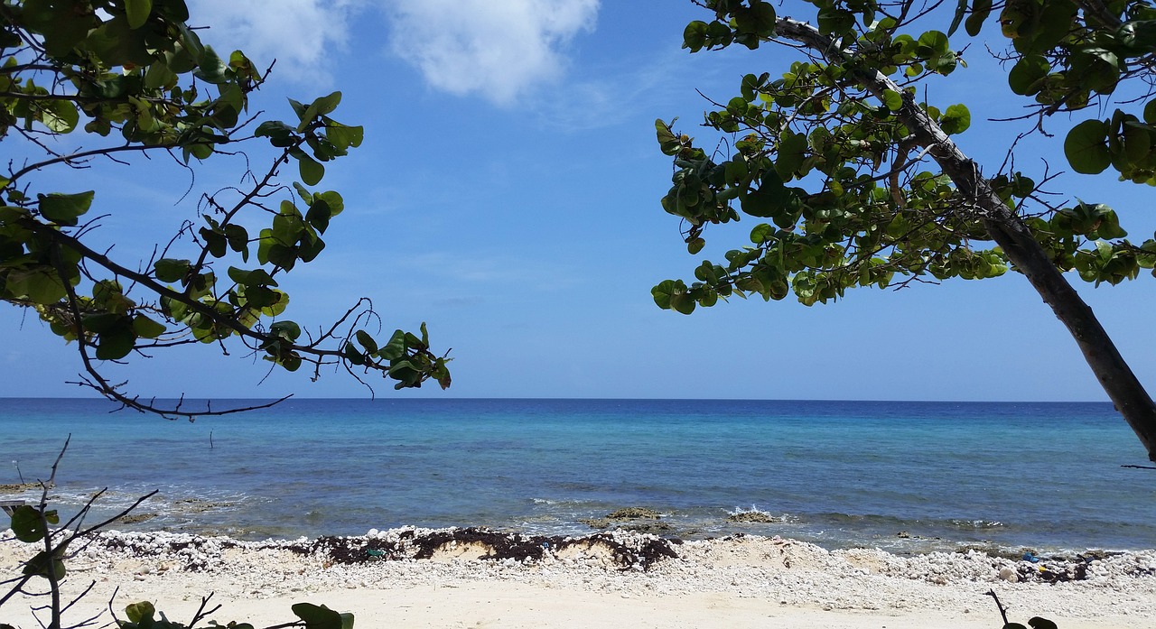 Culinary Journey Through Cayman Brac Island