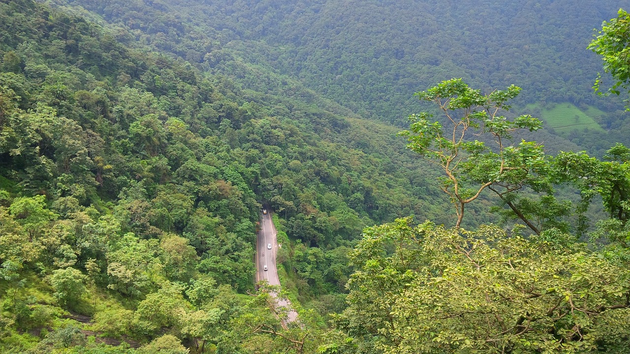 Nature Escape in Wayanad, India