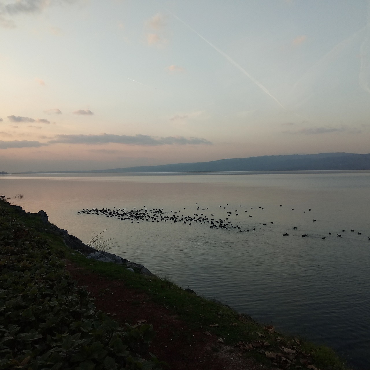 Esperienza di 5 giorni a Sapanca, Turchia