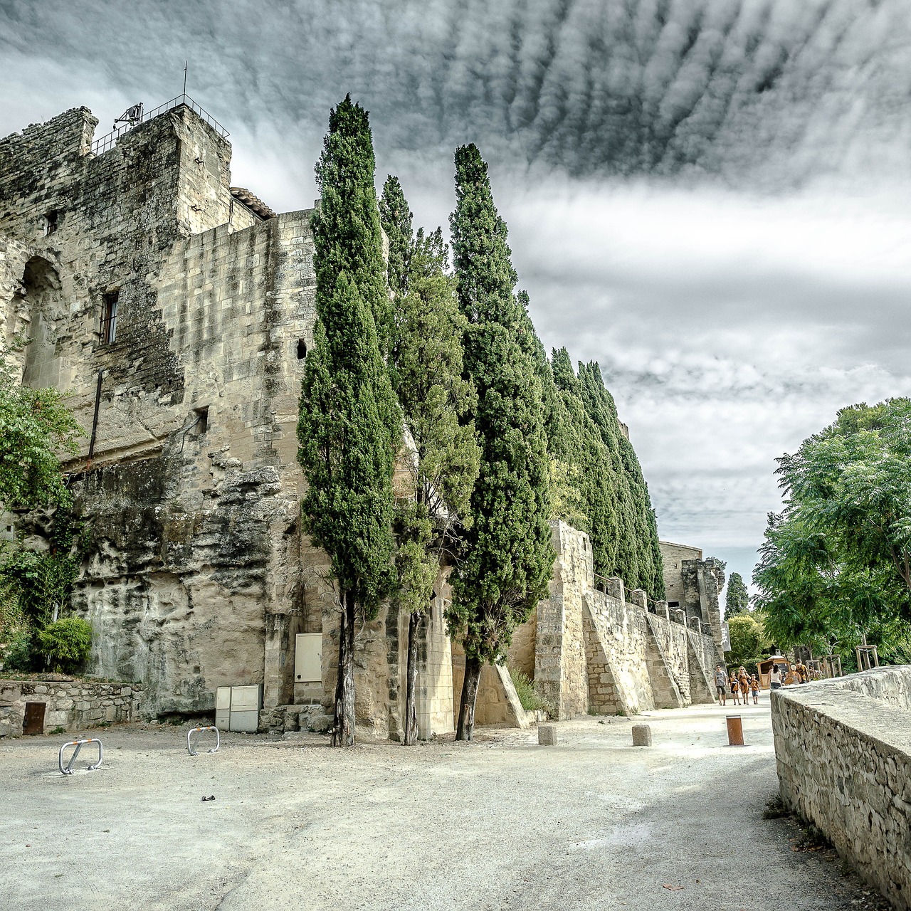 Découverte de la région de Montpellier et Nîmes