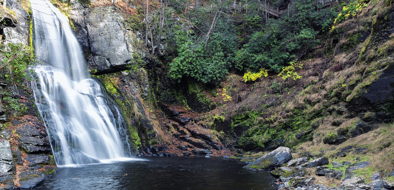 Exploring the Poconos: A 5-Day Culinary Adventure in Bushkill, Pennsylvania