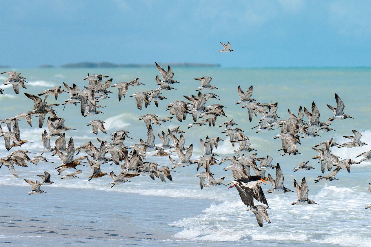 5-Day Adventure in Broome and Surrounds