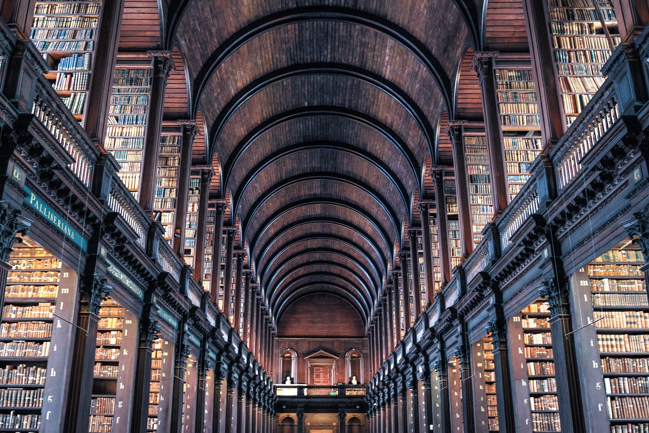 Découverte de Dublin et Temple Bar le soir