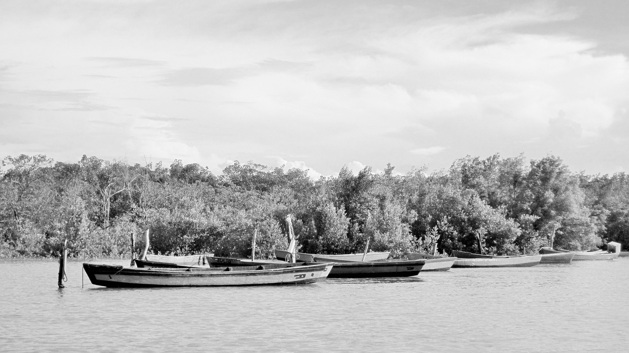 Tropical Delights in Tibau do Sul