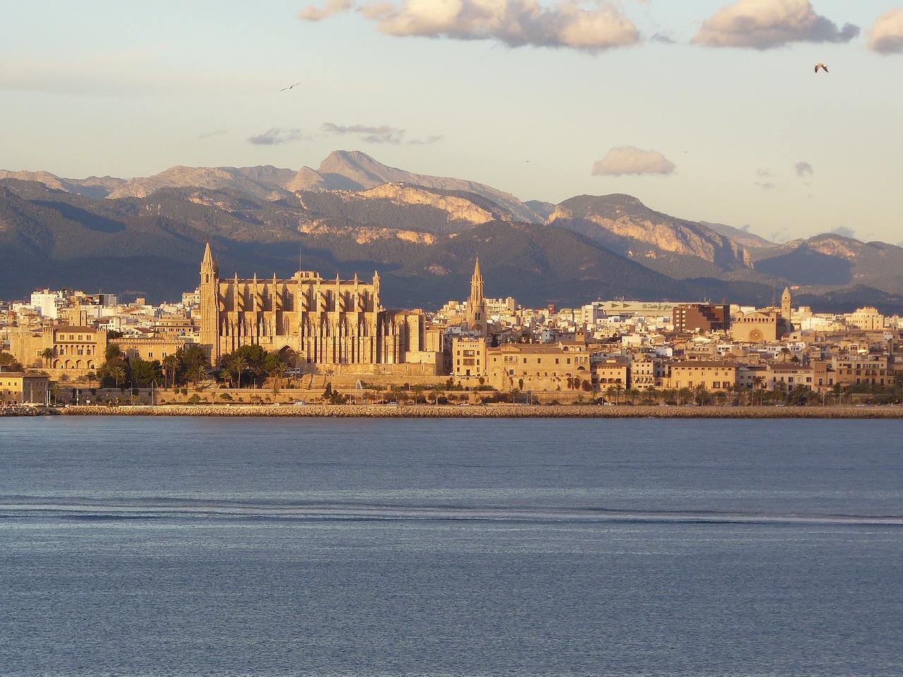 Aventure et Détente à Palma de Majorque