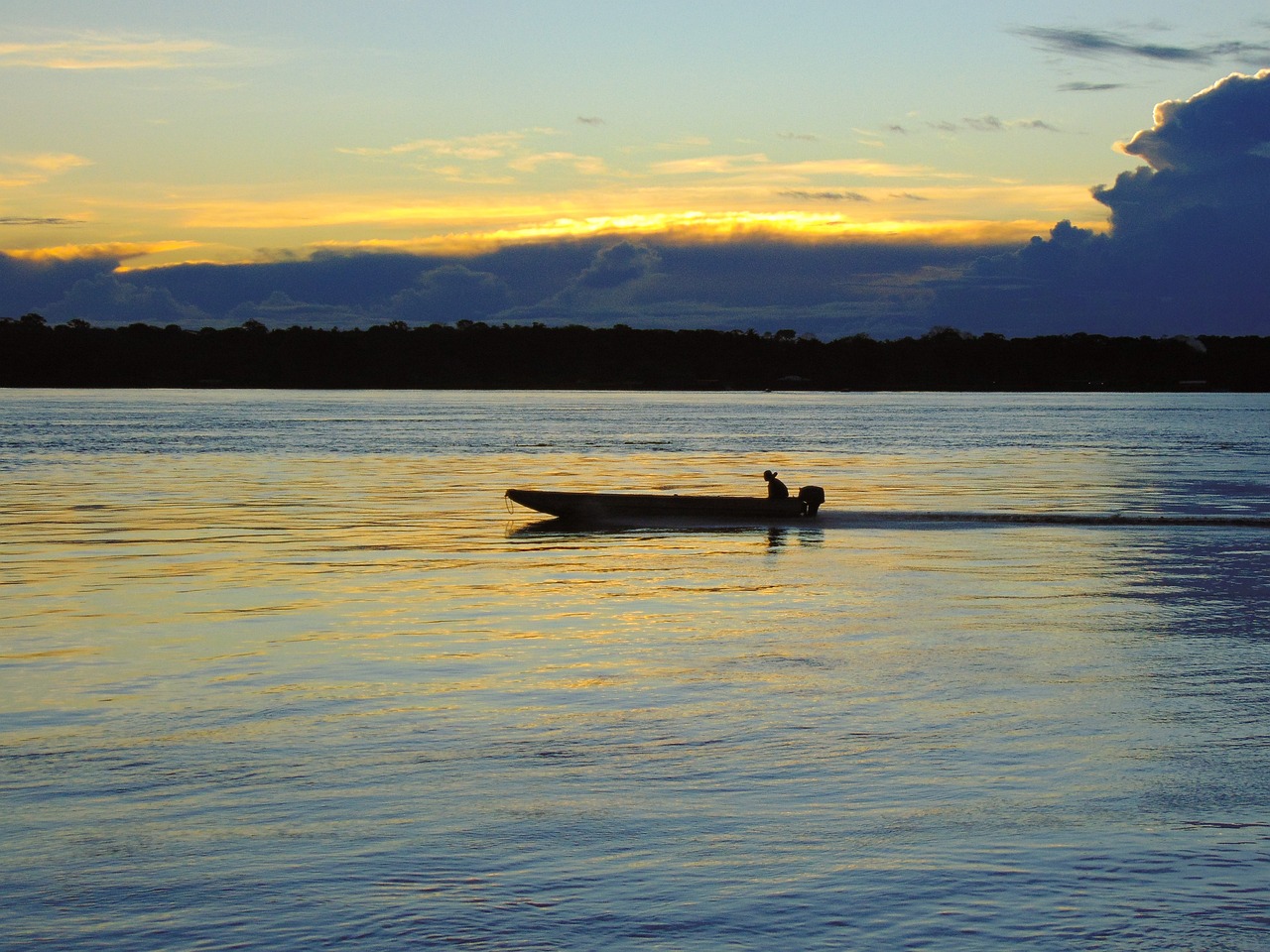 Exploring the Flavors of Porto Velho