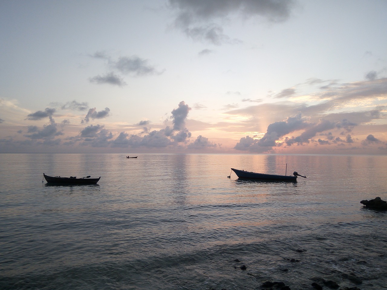 Island Paradise: 5-Day Culinary Journey in Thoddoo, Maldives