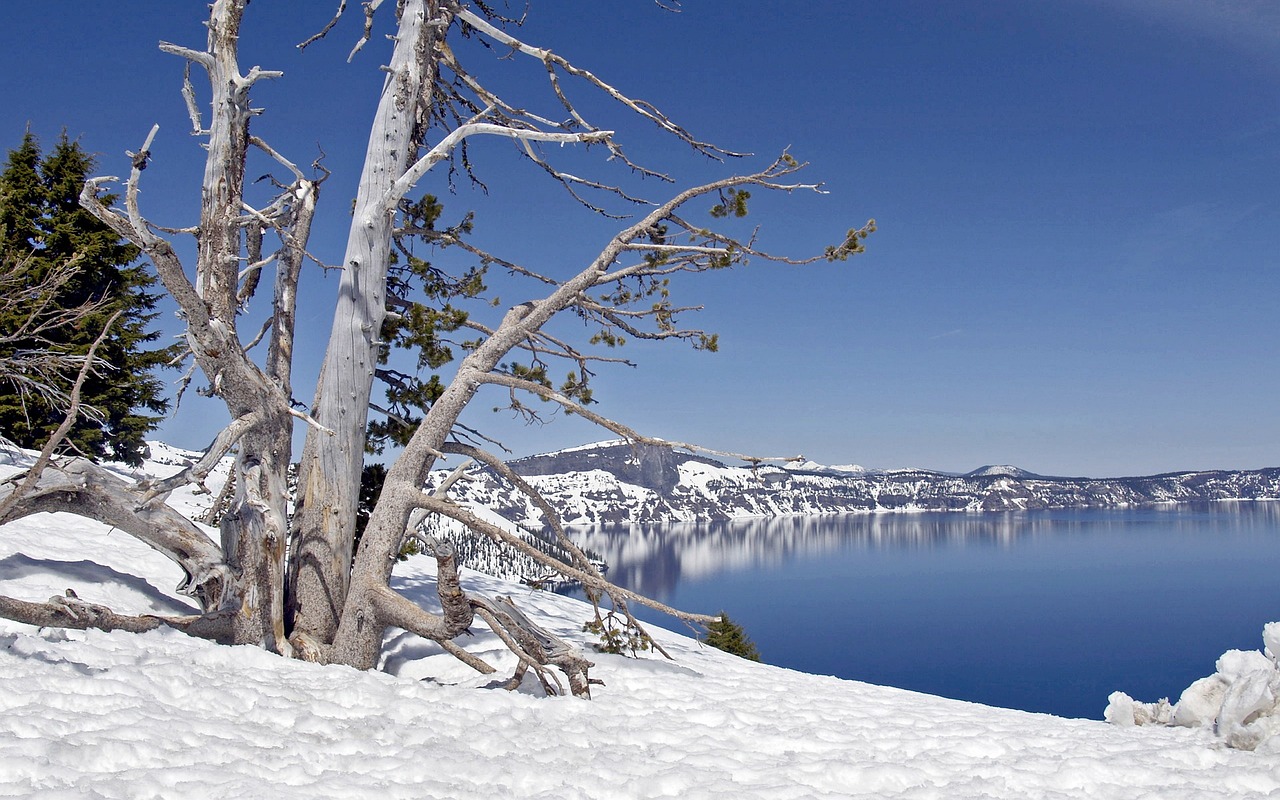 Exploring the Natural Wonders of Crater Lake National Park