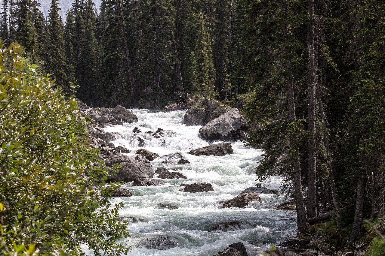 5-Day Adventure in Calgary, Banff, and Jasper National Park