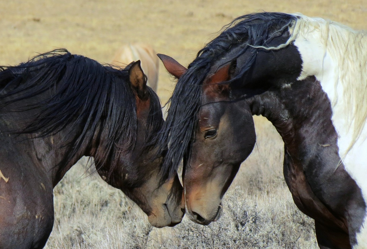 Exploring the Best of Mustang, Nepal in 5 Days