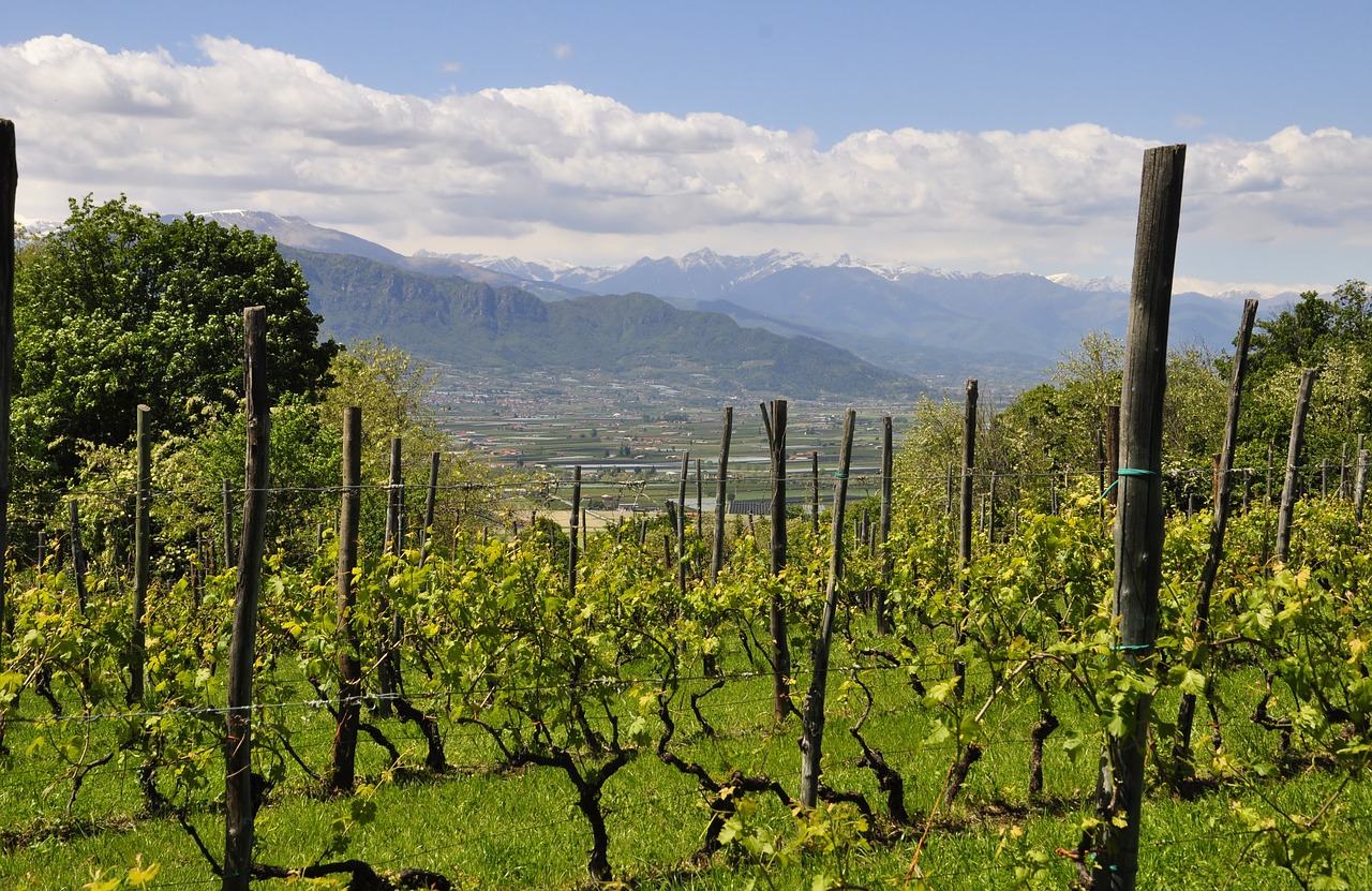 Enchanting 5-Day Piemonte Adventure