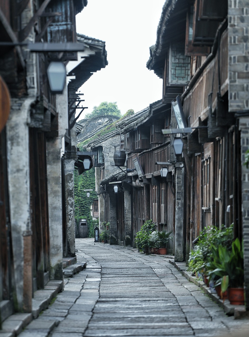 Culinary Delights in Wuzhen