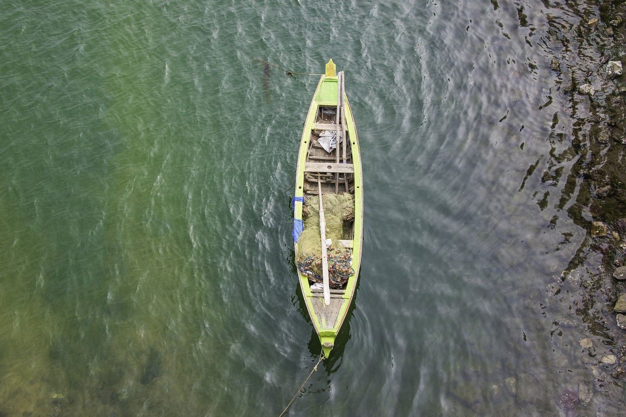 Exploring Andhra Pradesh: Bhadrachalam, Maredumilli, and Kakinada