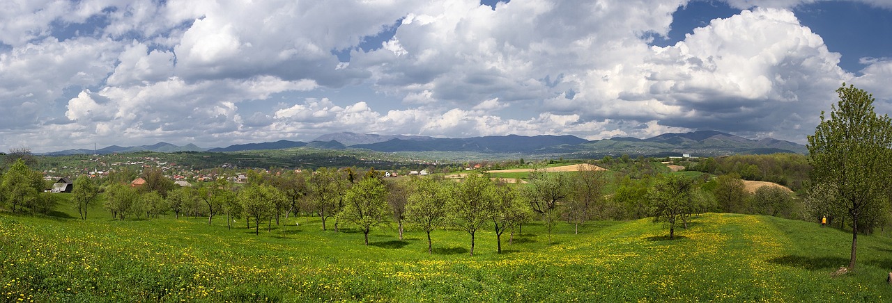 Découverte de Baia Mare et ses Environs