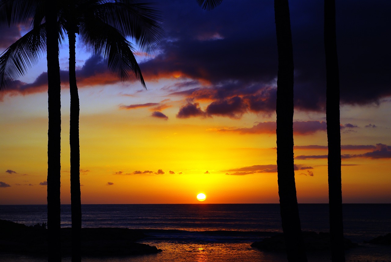 Oahu North Shore Adventure - Arrival Day