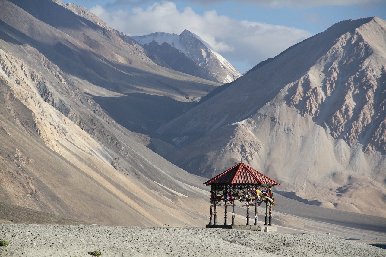 Ladakhi Landscapes, Local Flavors, and Double Hump Camels