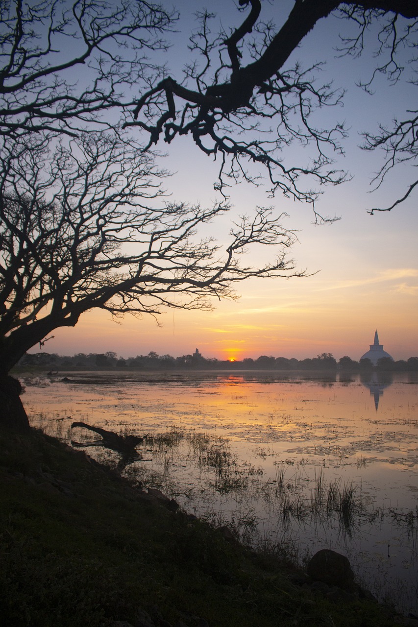 Historical and Wildlife Adventure in Anuradhapura, Sri Lanka