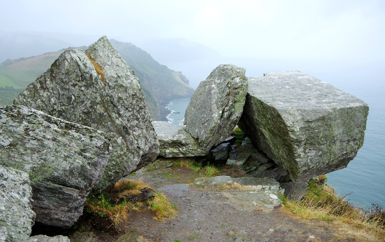 Exmoor National Park Nature Exploration Day Trip