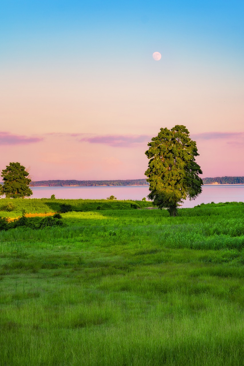 Explorando la Historia y la Naturaleza de Hue