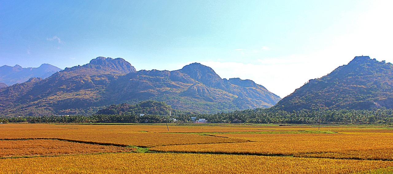 Nature's Bliss in Kanyakumari