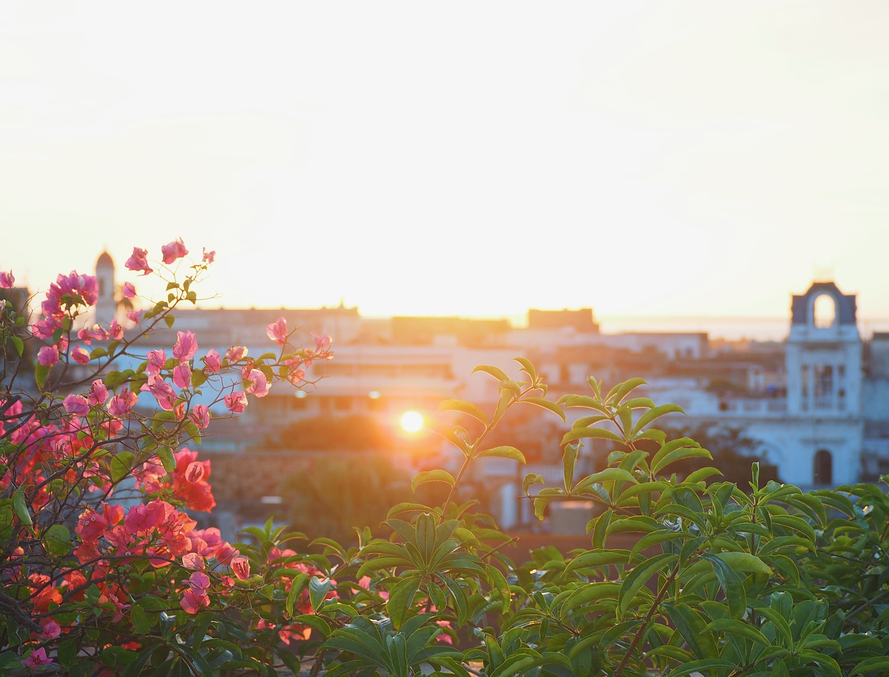 Cienfuegos: A Culinary Journey Through Cuba