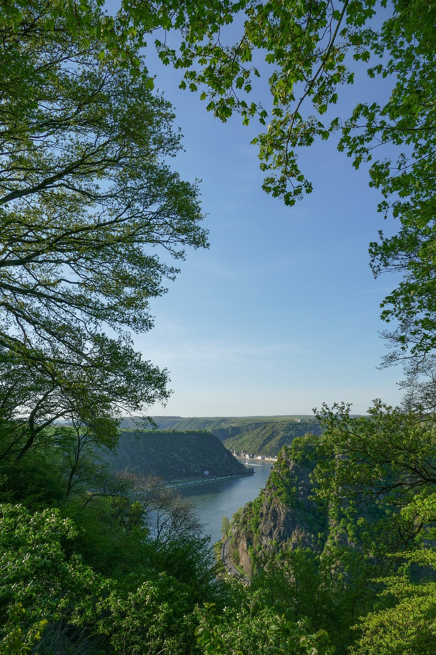 Cultural and Culinary Journey through Central Germany