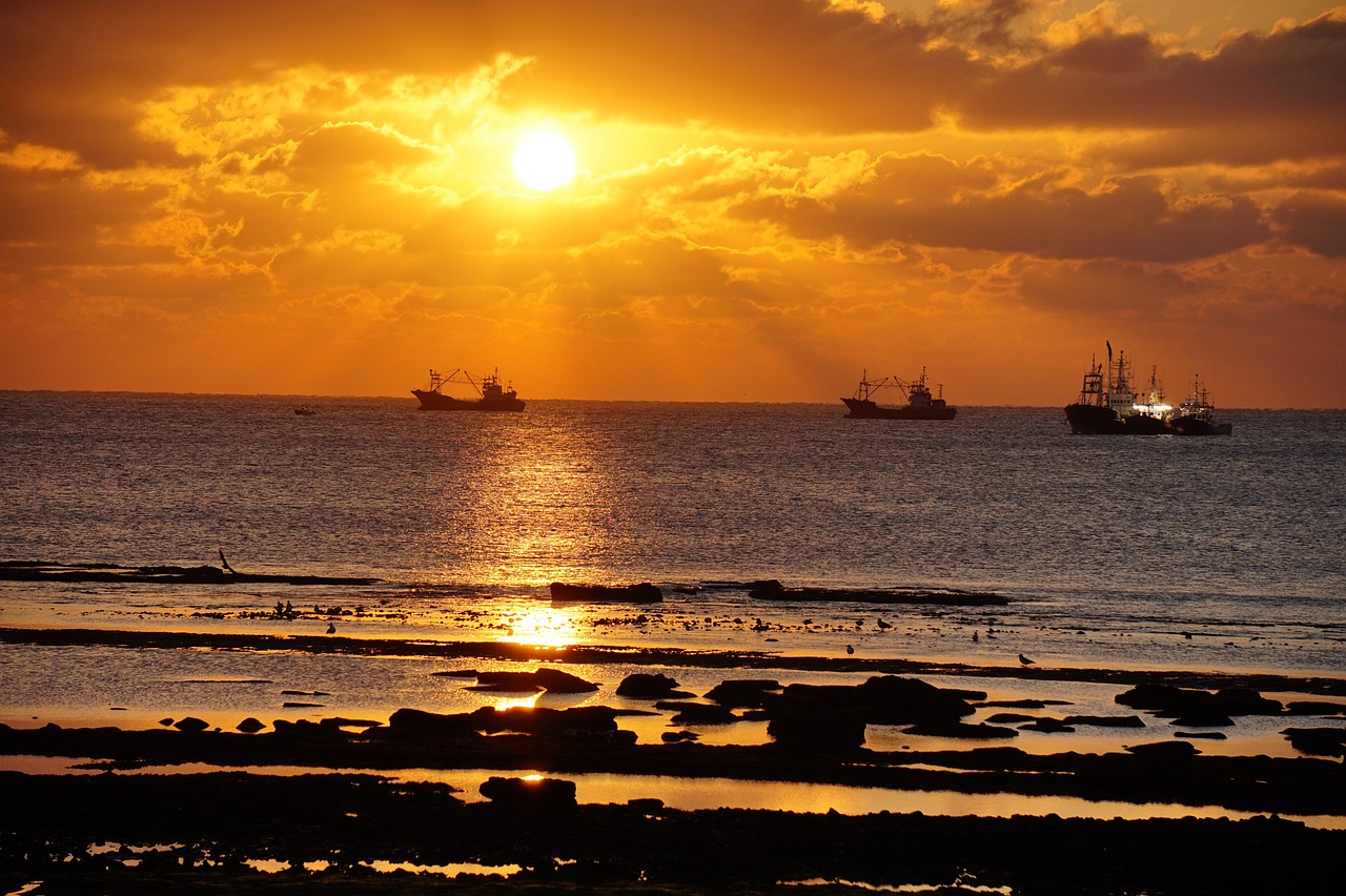 Seogwipo Culinary Delights and Sunset Stroll