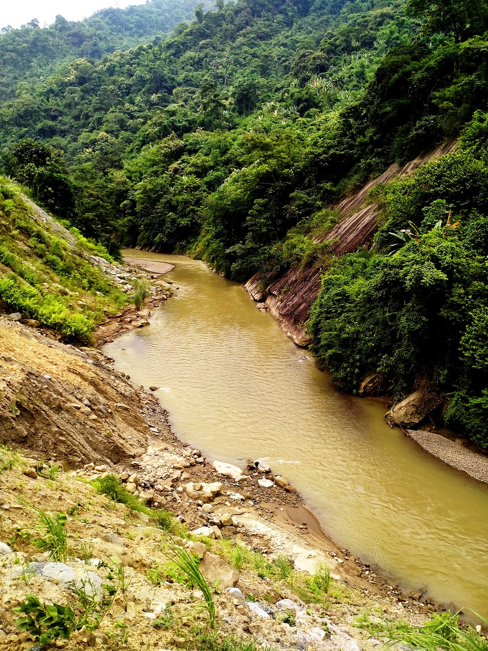 Culinary Journey through Nagaland