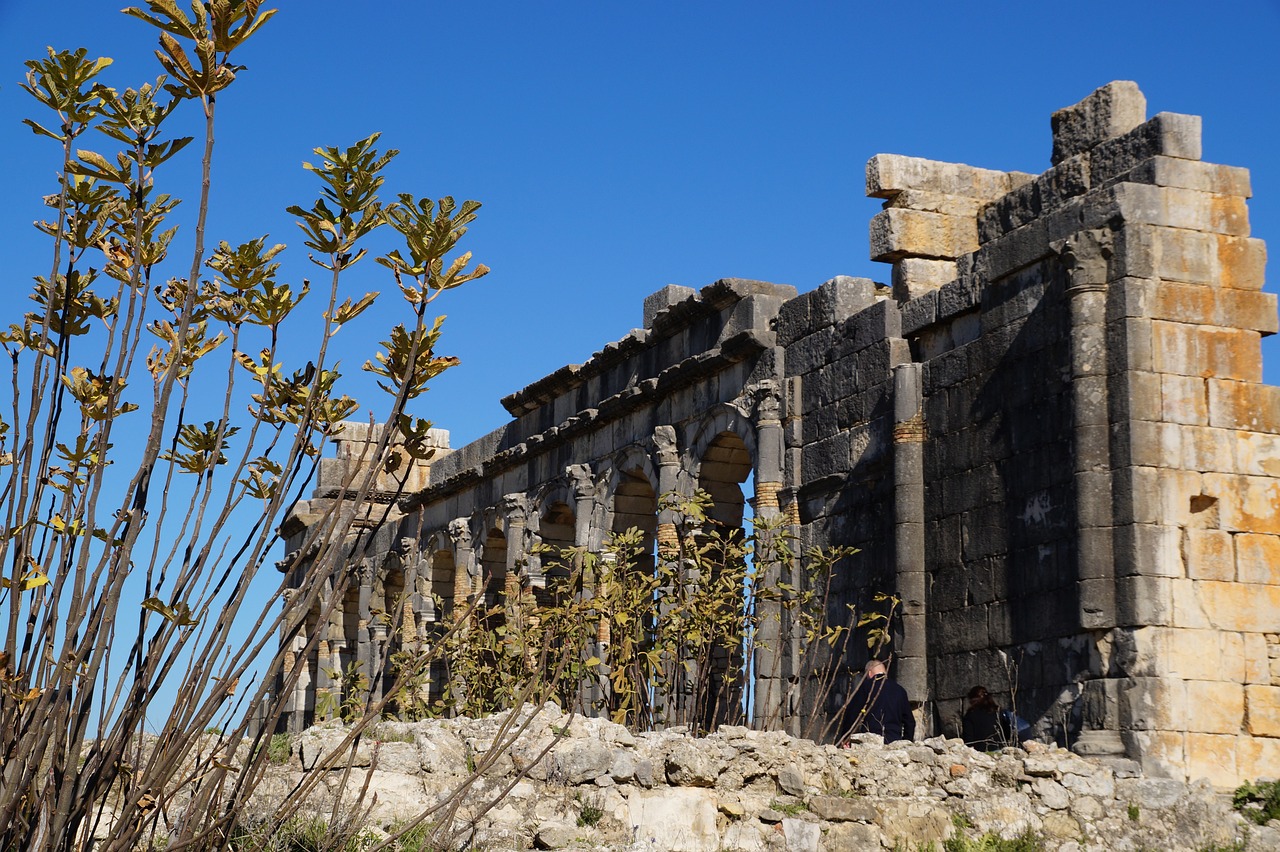 Exploring the Rich Heritage of Volubilis and Surrounding Areas