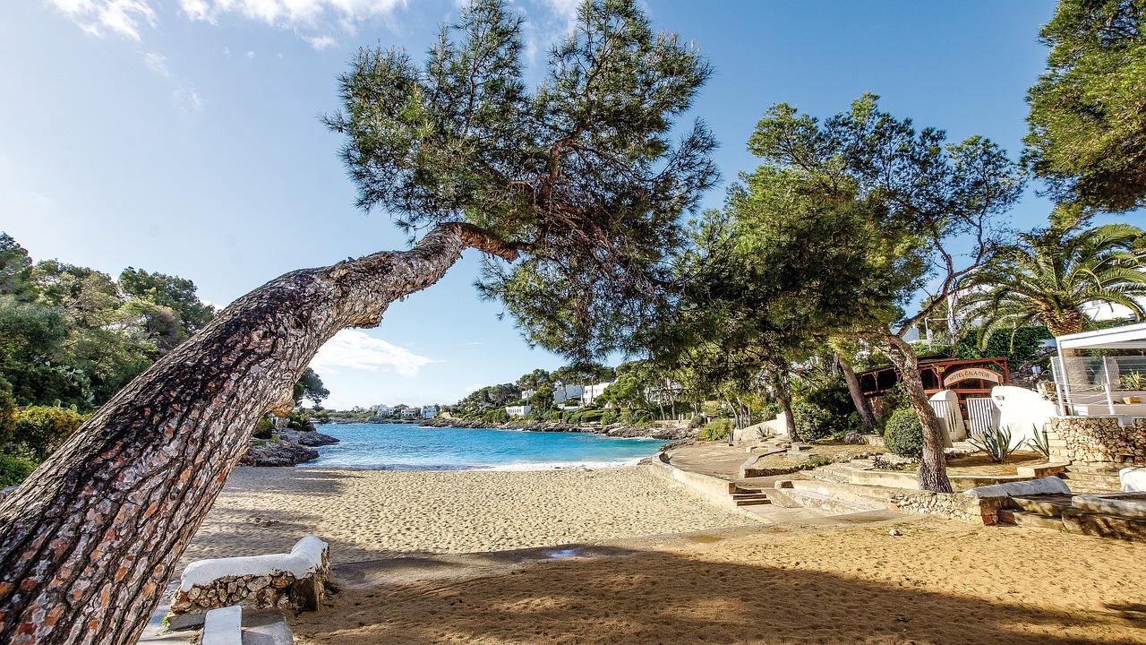 5-Day Beach Relaxation and Cultural Exploration in Cala d'Or, Mallorca