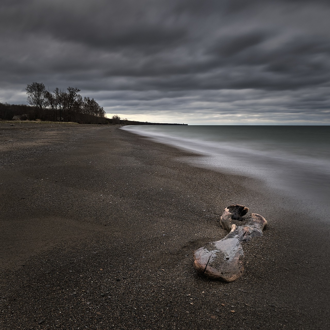 Point Pelee National Park: 5-Day Culinary Adventure