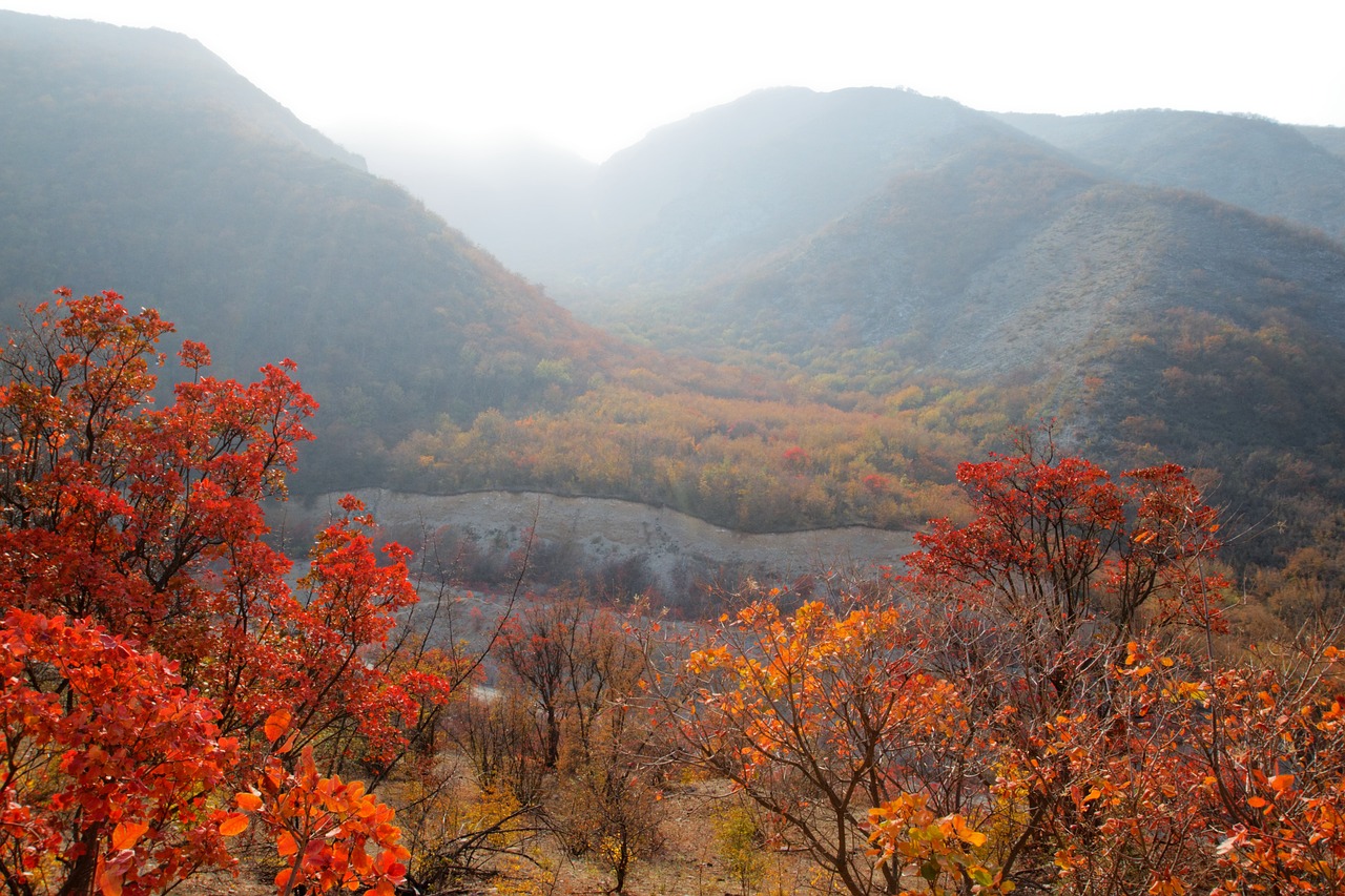 Cultural and Culinary Adventure in Dagestan