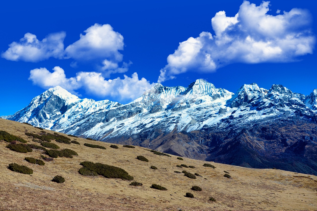 Remote Work and Mountain Serenity in Lachung