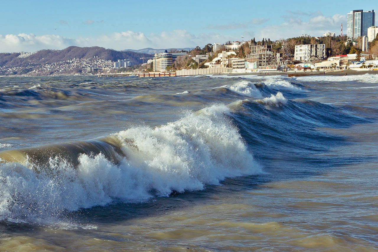 Beach & Mountain Bliss in Sochi