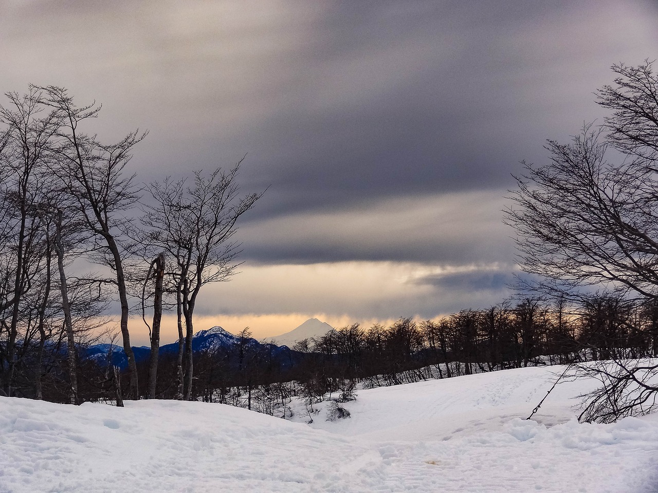 Culinary Adventure in Vulcan, Alberta