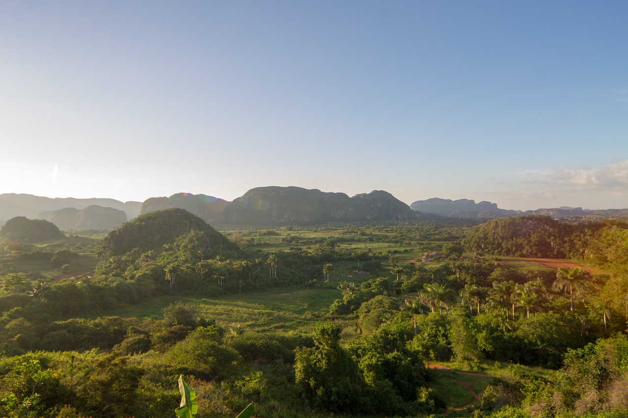 Exploring the Culinary Delights of Viñales, Cuba