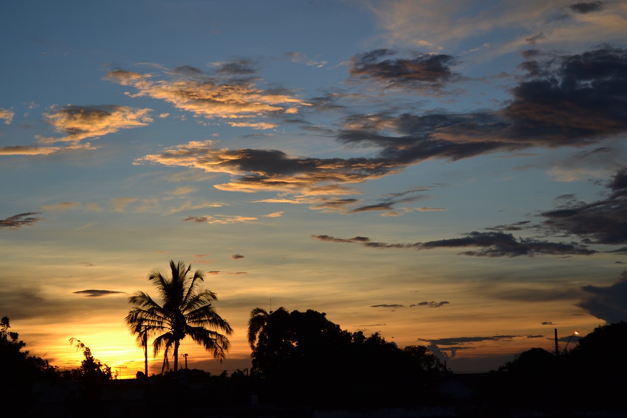 Culinary Delights in Uberlândia, Minas Gerais